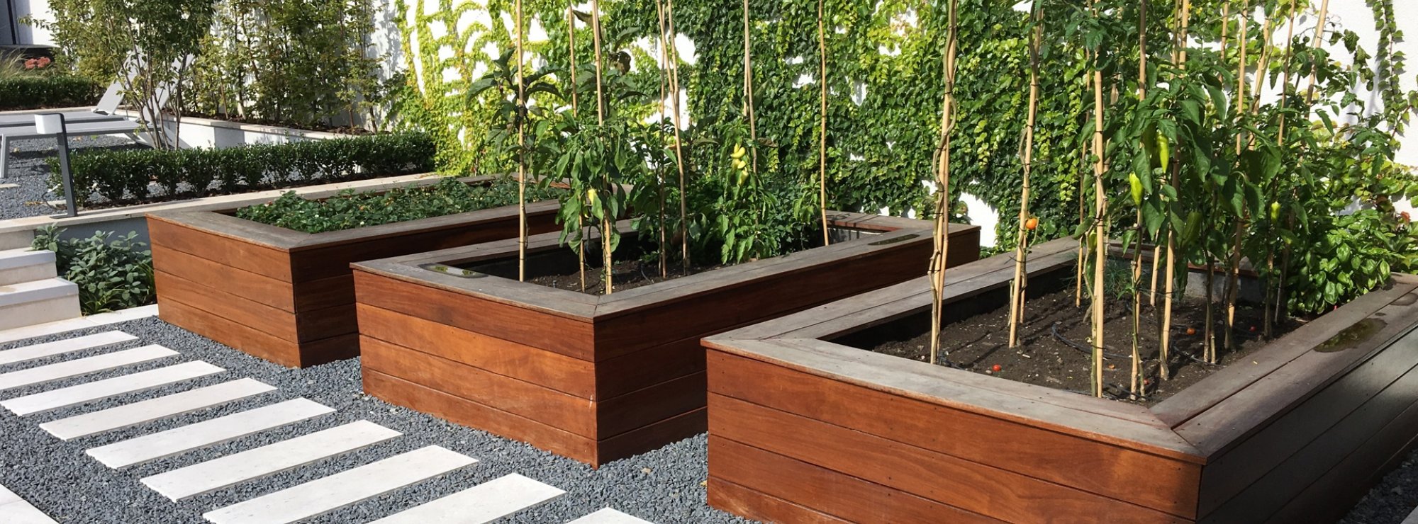 Vegetable garden